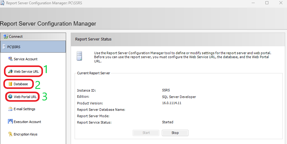 SSRS/PBIRS