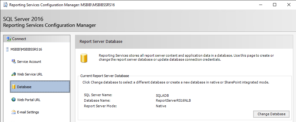 report server database